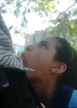 Estudiante golosa chupando pija cuando sale de clases 12